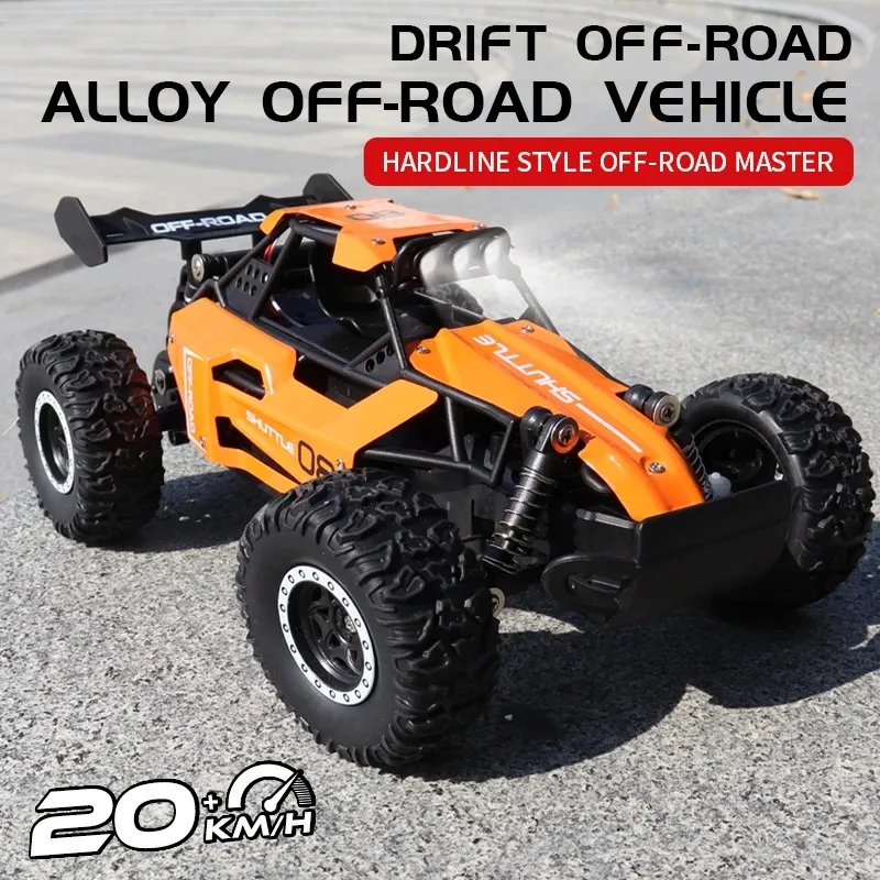 2025 NEW 1:16/1:20 2.4G Model  - Kids Outdoor Dirt Toys recensione e prezzo