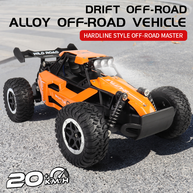 ZWN 1:16/1:20 2.4G Model RC Ca - Kids Outdoor Dirt Toys recensione e prezzo
