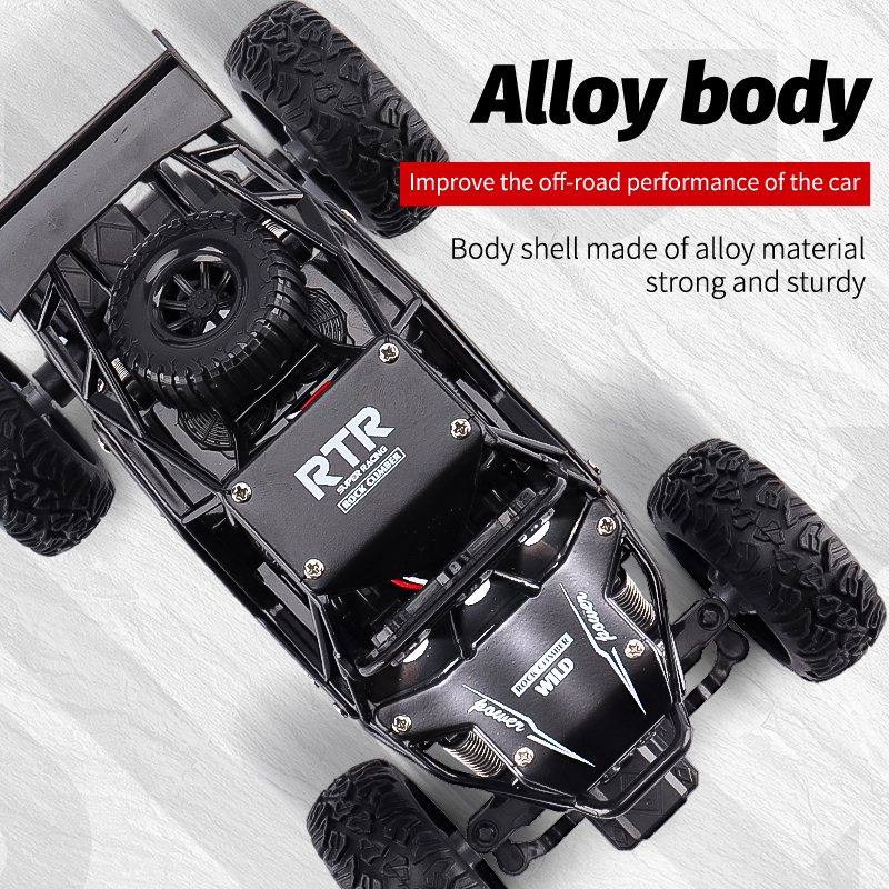 ZWN 1:16/1:20 2.4G Model RC Ca - Kids Outdoor Dirt Toys recensione e prezzo