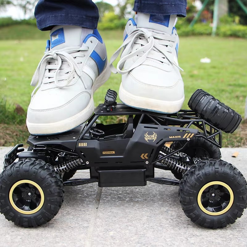 Oike RC Car Remote Control Cli - Kids Outdoor Dirt Toys recensione e prezzo