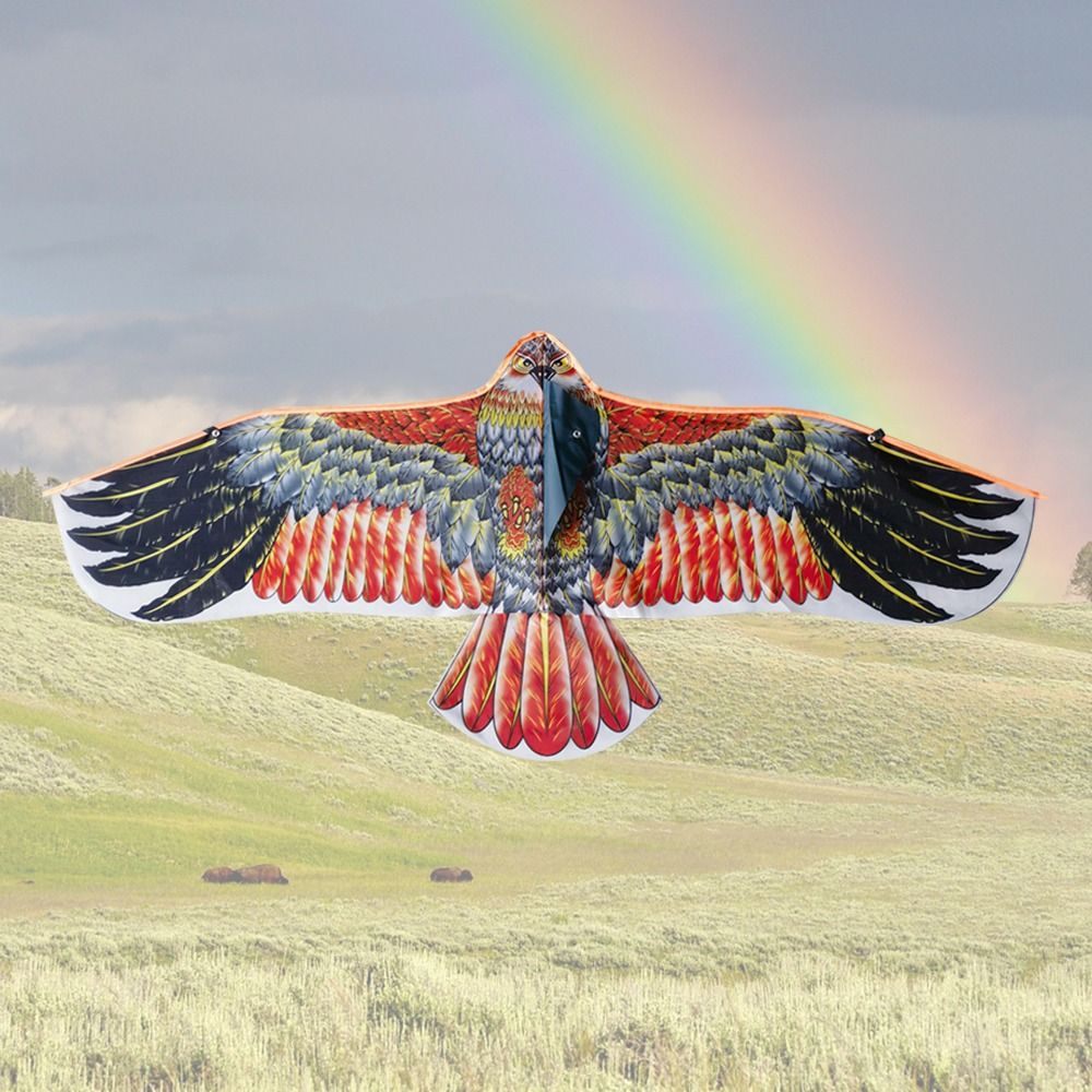 1.1m Eagle Kite With 30m Kite  - Kids Outdoor Storage recensione e prezzo